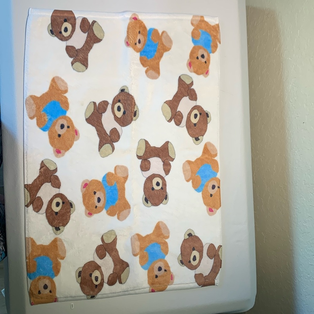 Teddy Bear Hand Towels (Set of 2)